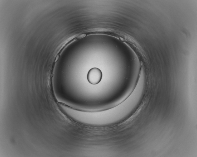 X0000113231177200909101205