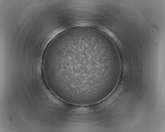 X0000113231178200909101205