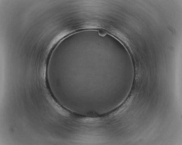 X0000113231179200909101205