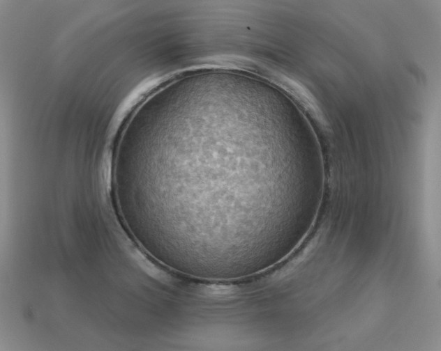 X0000113231180200909101205