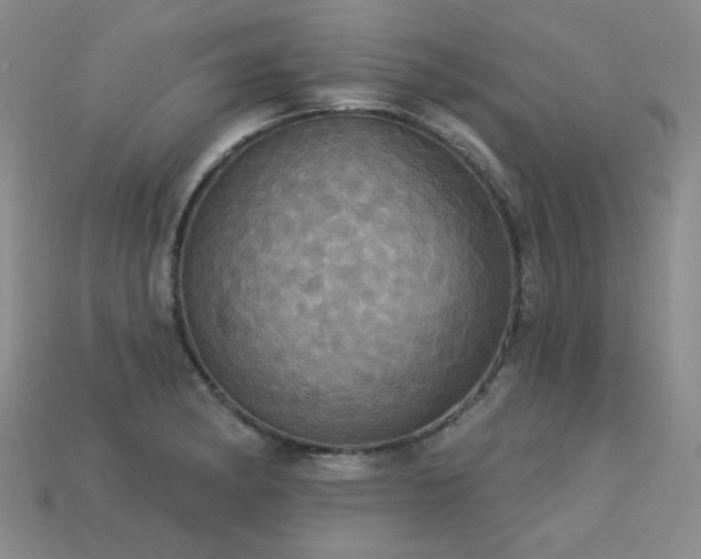 X0000113231182200909101205