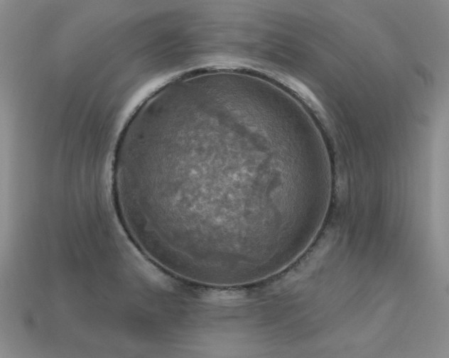 X0000113231183200909101205