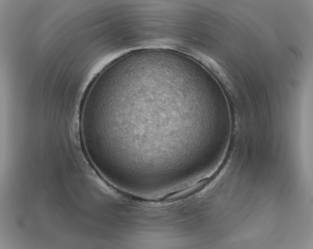 X0000113231184200909101205