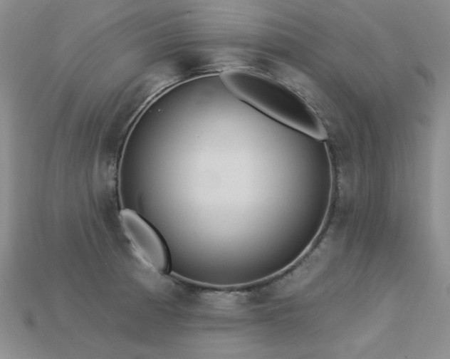 X0000113231185200909101205
