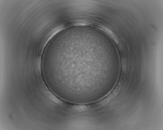 X0000113231186200909101205