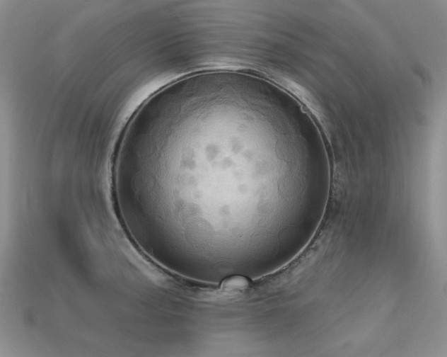 X0000113231187200909101205