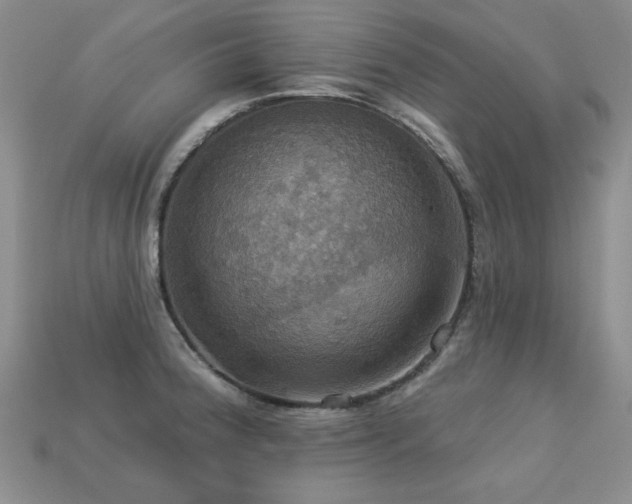 X0000113231188200909101205