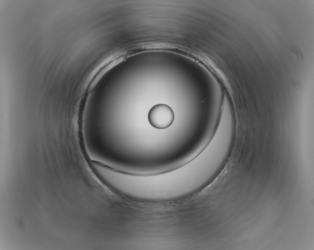 X0000113231189200909101205
