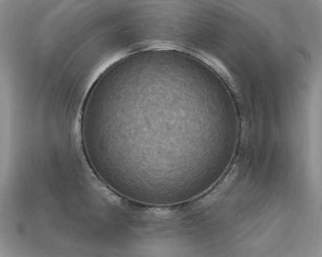 X0000113231190200909101205