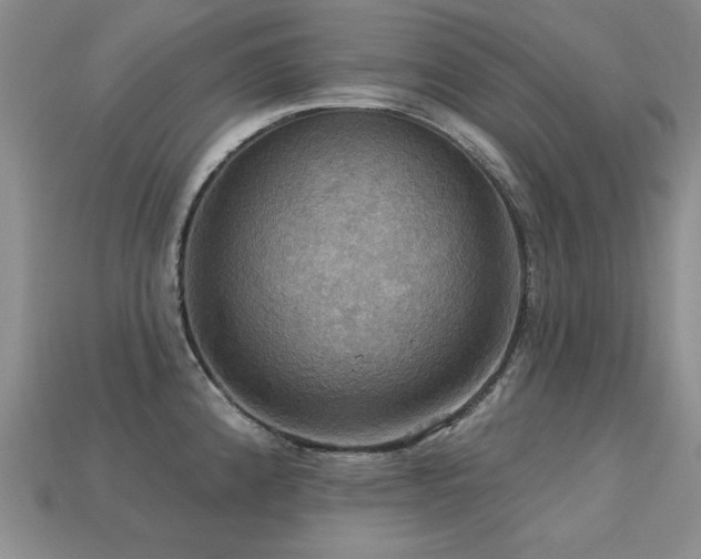 X0000113231192200909101205