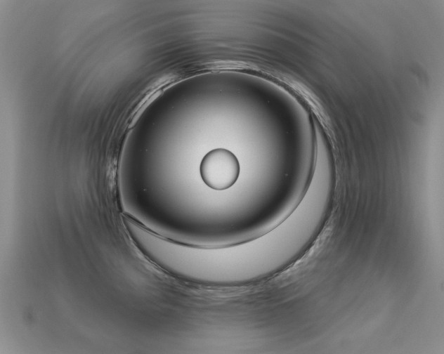 X0000113231193200909101205