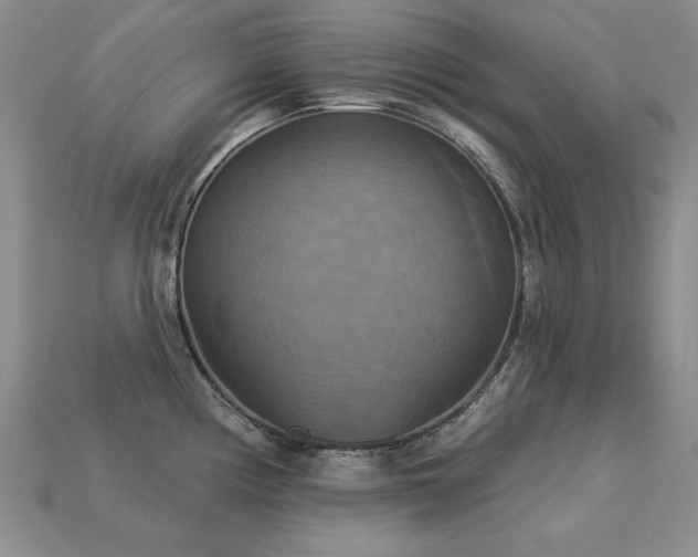 X0000113231194200909101205