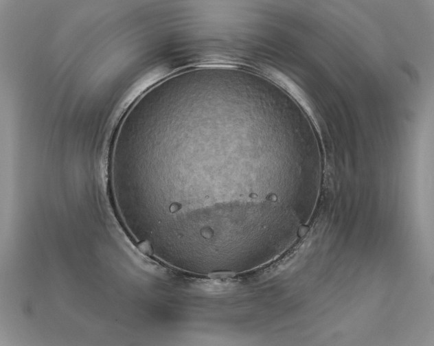 X0000113231195200909101205