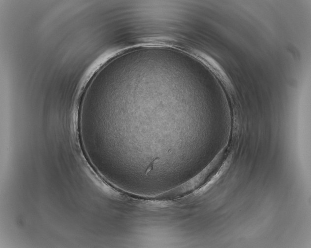 X0000113231196200909101205
