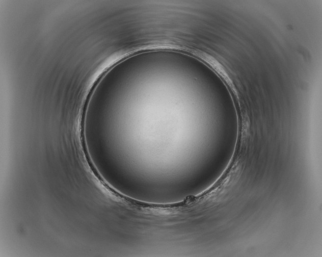 X0000113231197200909101205