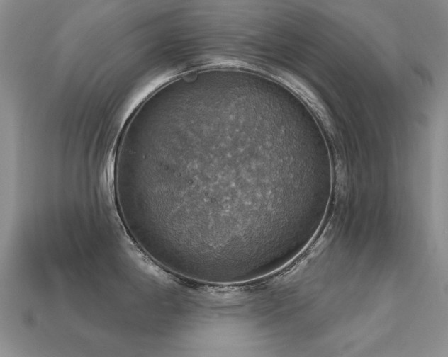 X0000113231198200909101205