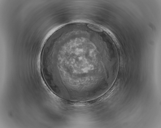 X0000113231199200909101204
