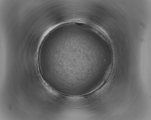 X0000113231200200909101204
