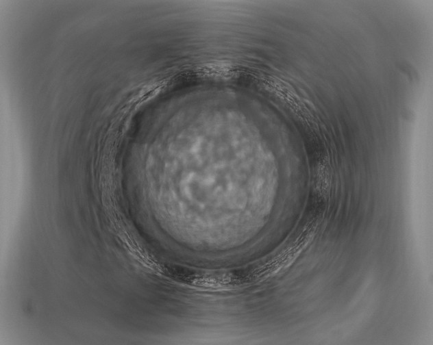 X0000113231201200909101204