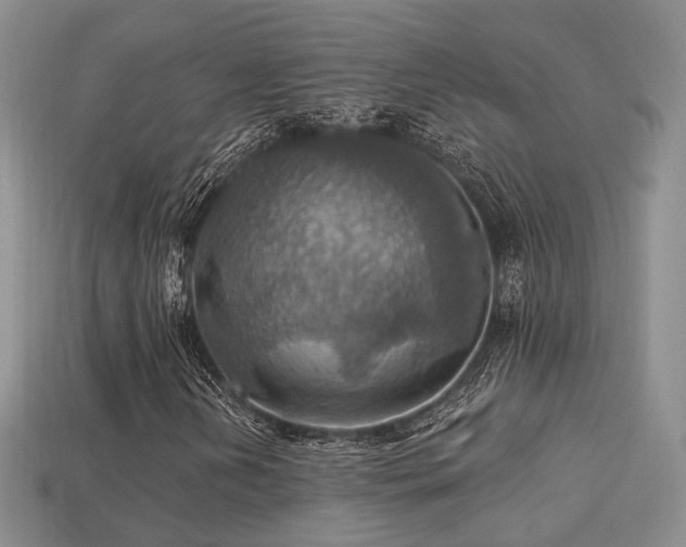 X0000113231202200909101204
