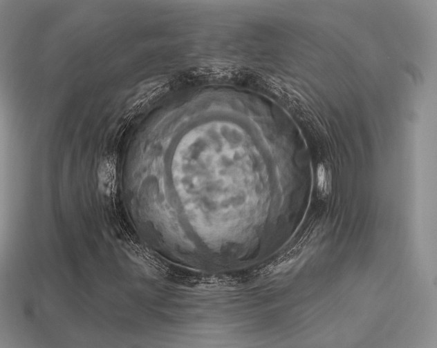 X0000113231203200909101204