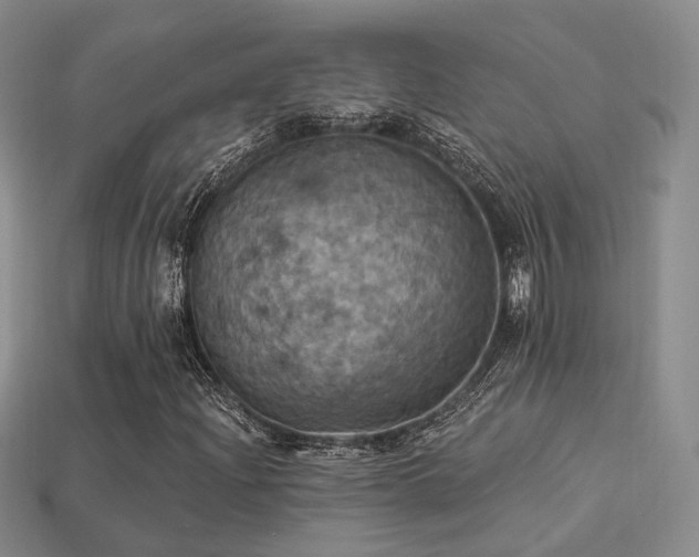 X0000113231204200909101204