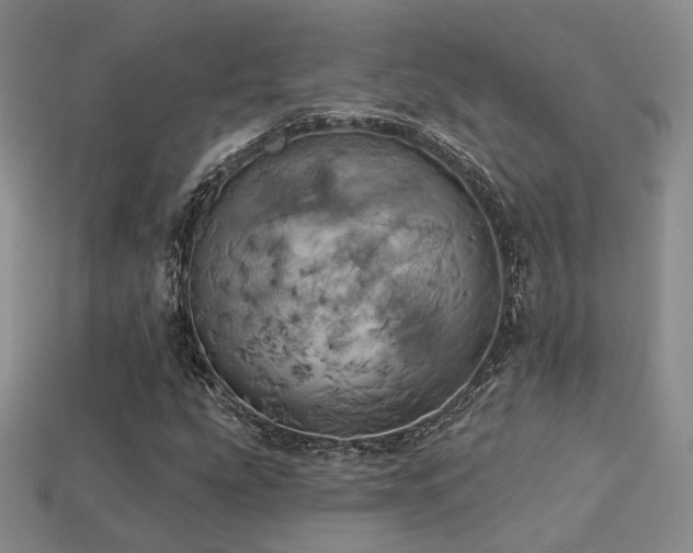 X0000113231207200909101204