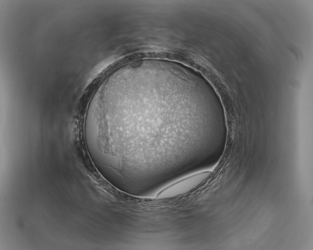 X0000113231208200909101204