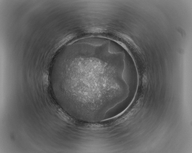 X0000113231209200909101204