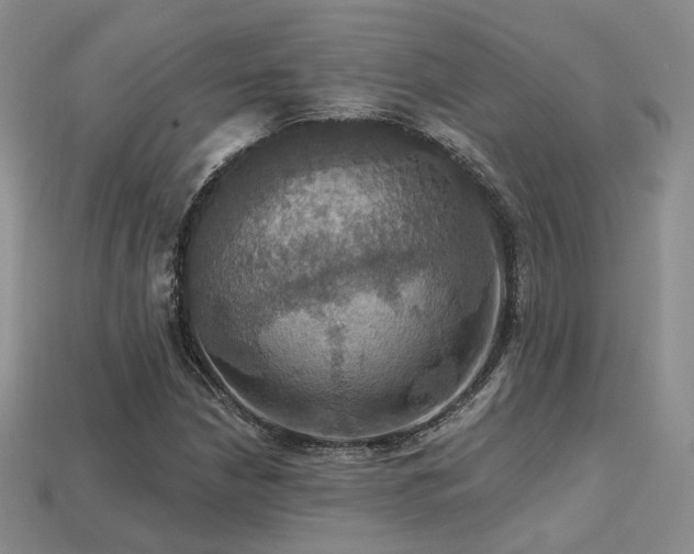 X0000113231210200909101204