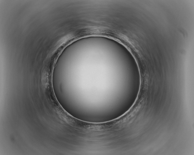 X0000113231211200909101204