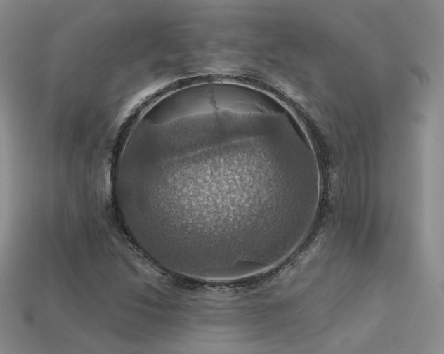X0000113231214200909101204