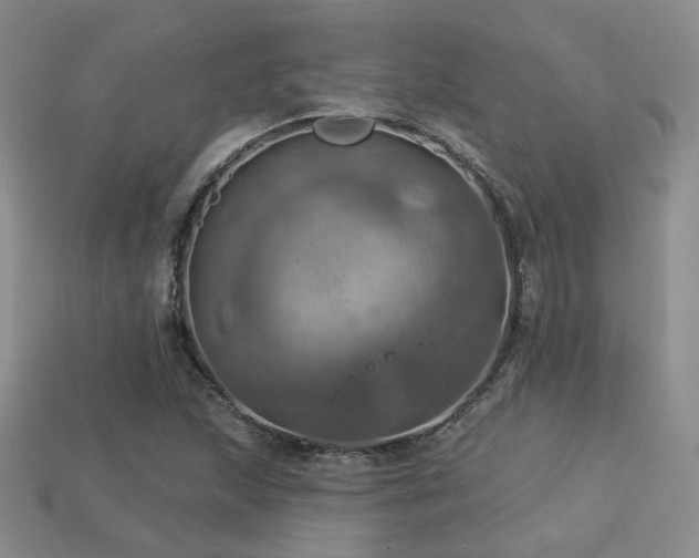 X0000113231215200909101204