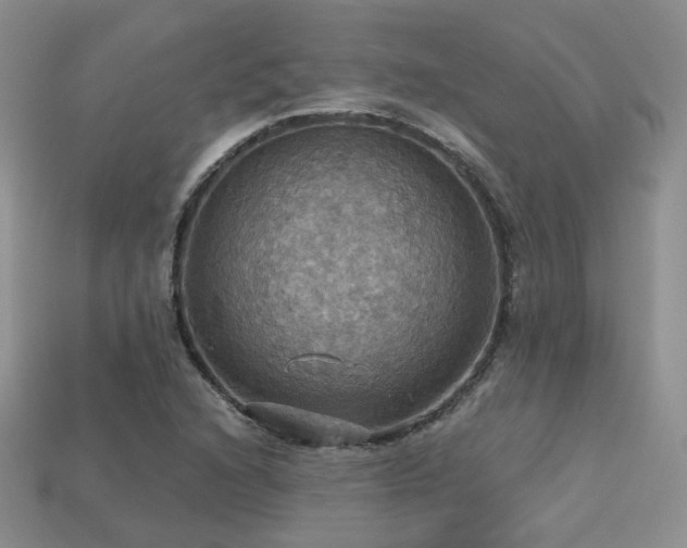 X0000113231216200909101204
