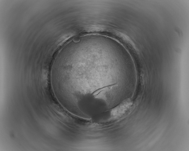 X0000113231217200909101204