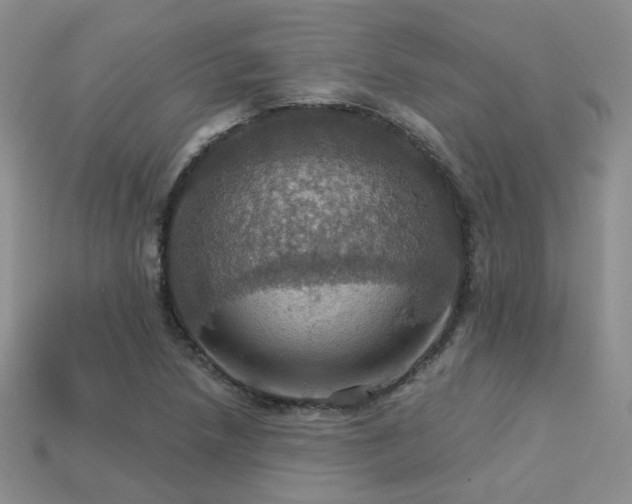 X0000113231218200909101204
