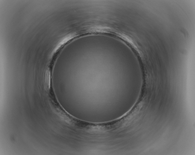 X0000113231219200909101204