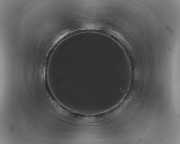 X0000113231220200909101204