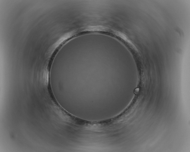 X0000113231221200909101204