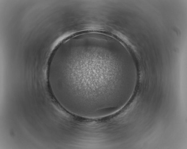 X0000113231222200909101204