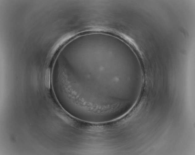 X0000113231223200909101204