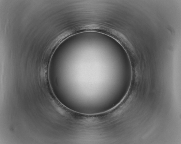 X0000113231225200909101204