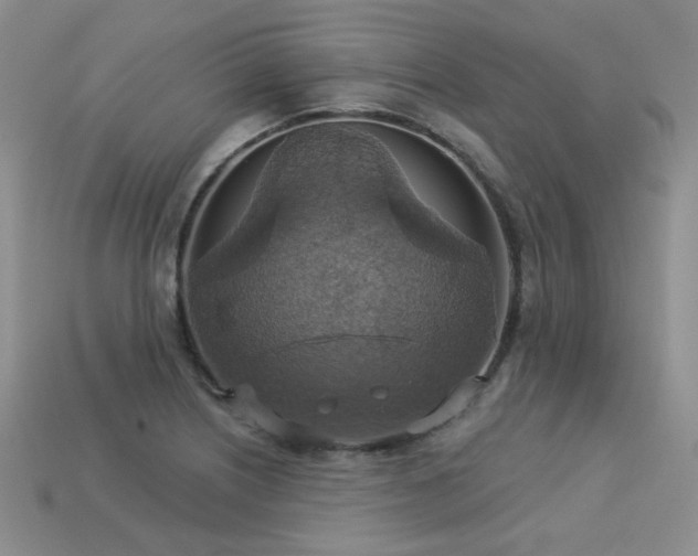 X0000113231226200909101204