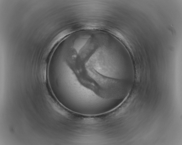 X0000113231227200909101204