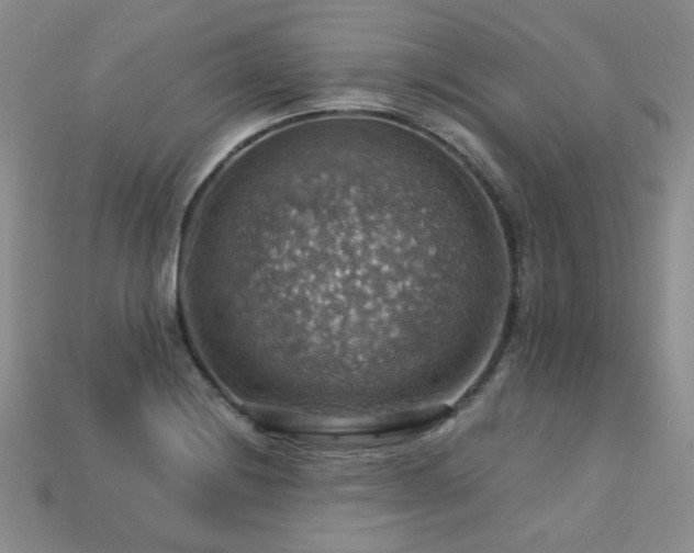 X0000113231228200909101204