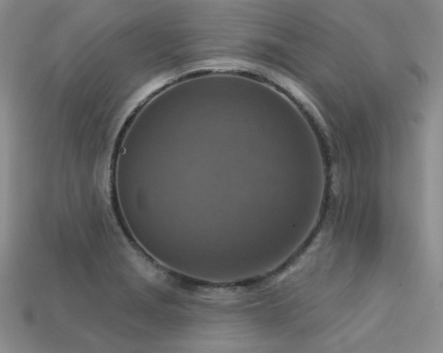 X0000113231229200909101204