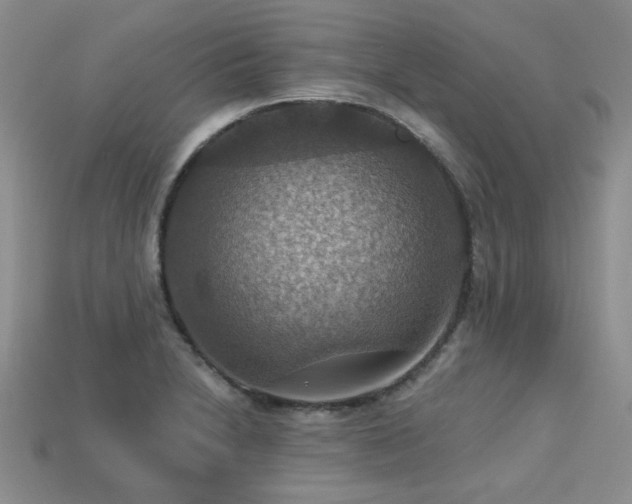 X0000113231230200909101204
