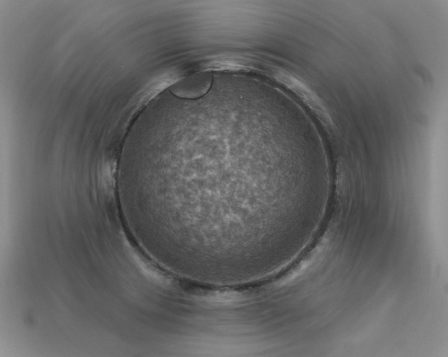 X0000113231233200909101204