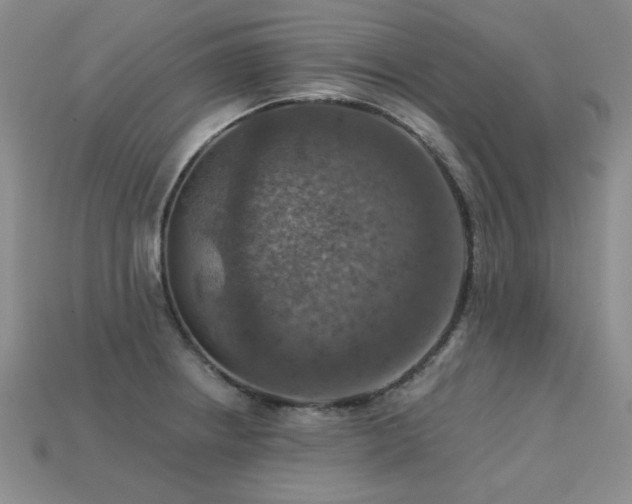 X0000113231234200909101204