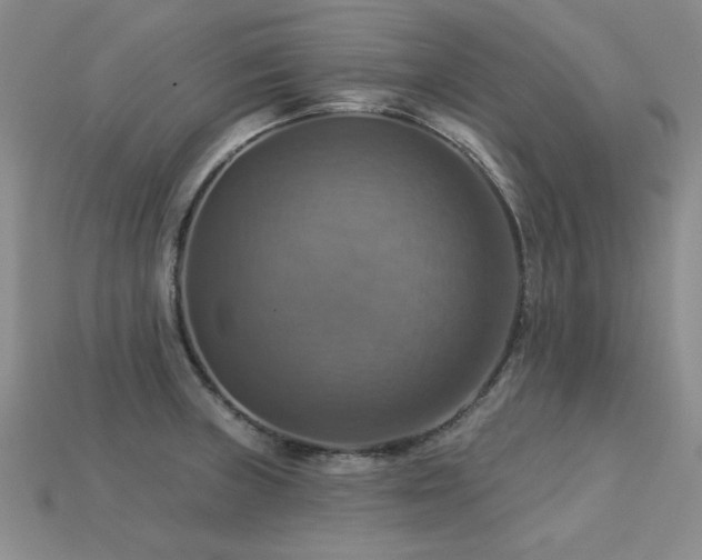 X0000113231235200909101204